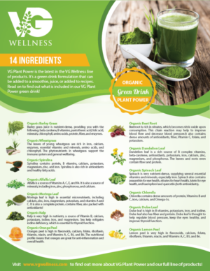 Flyer Design by alex989 for VG Wellness LLC | Design: #23826435