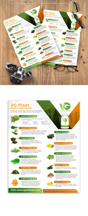 Design de Flyer par TAMZ pour VG Wellness LLC | Design : #23736208