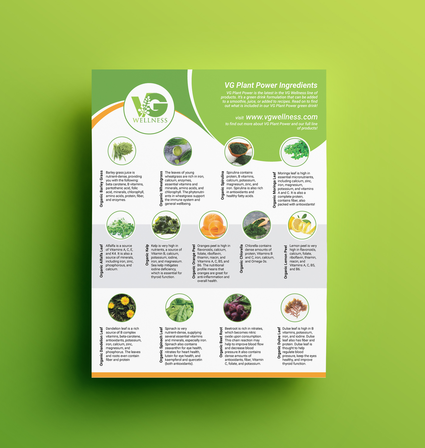 Flyer-Design von JK18 für VG Wellness LLC | Design #23764441