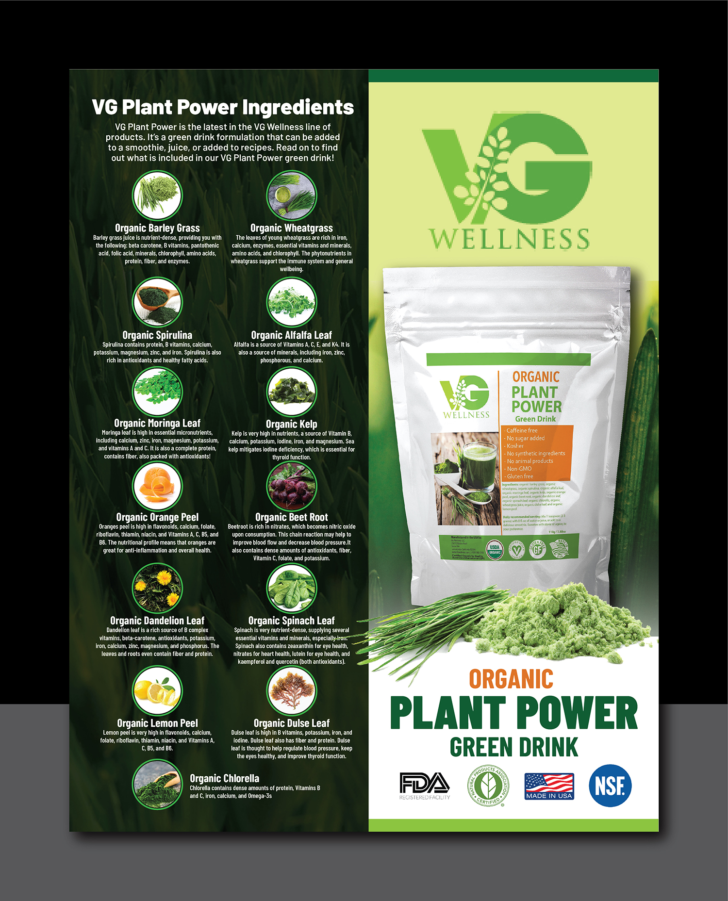 Flyer Design by Deziners Zone for VG Wellness LLC | Design #23738364