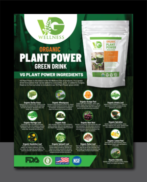 Flyer Design by Deziners Zone for VG Wellness LLC | Design: #23738365