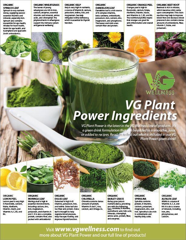 Design de Flyer par eleven pour VG Wellness LLC | Design #23756991