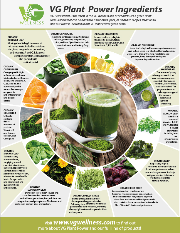 Flyer Design by eleven for VG Wellness LLC | Design #23759052