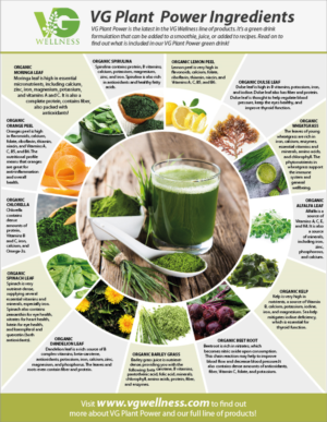 Wellness company needs a flyer for our new green powder drink. | Flyer Design by eleven