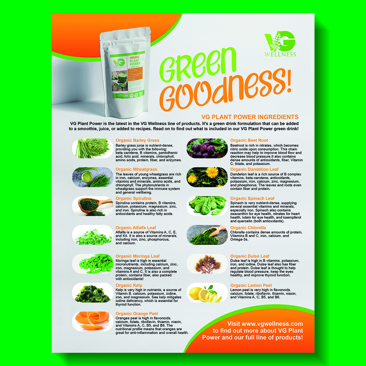 Flyer Design by janiceg for VG Wellness LLC | Design #23781512