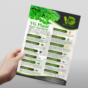 Flyer Design by LAXMI DESIGNHUB for VG Wellness LLC | Design: #23737647