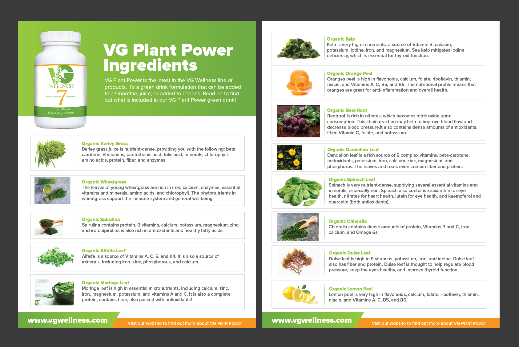 Flyer-Design von Benson M. für VG Wellness LLC | Design #23772270