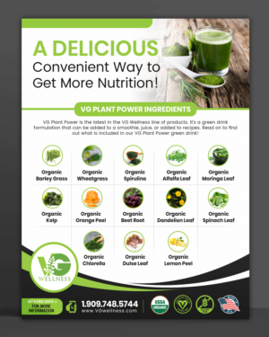 Flyer Design by SD WEBCREATION for VG Wellness LLC | Design #23773242