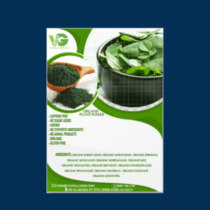 Flyer Design by studseif