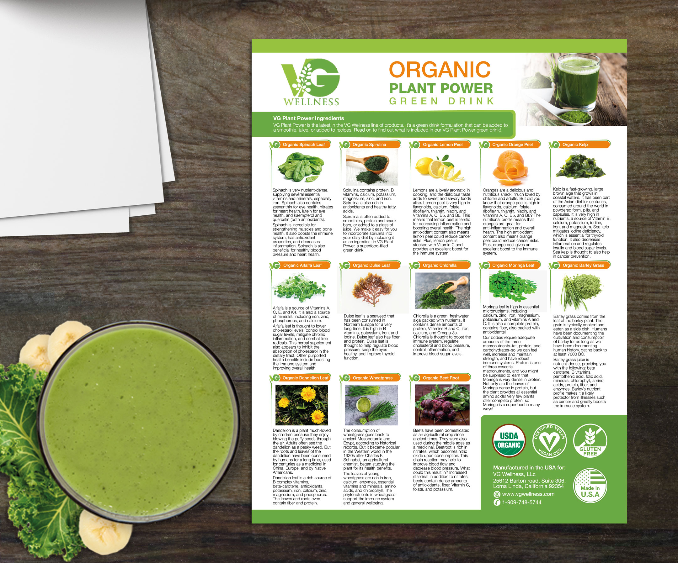 Diseño de Flyer por falcon.wings para VG Wellness LLC | Diseño #23777779