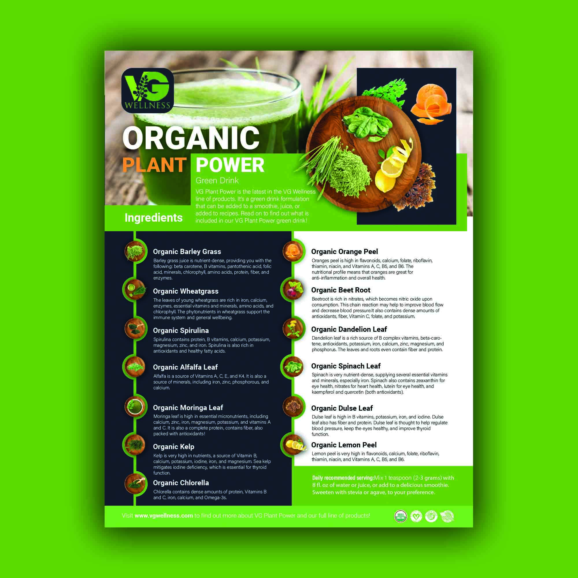 Flyer Design by Jayanta 3 for VG Wellness LLC | Design #23754232