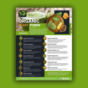Flyer Design by Jayanta 3 for VG Wellness LLC | Design #23754232