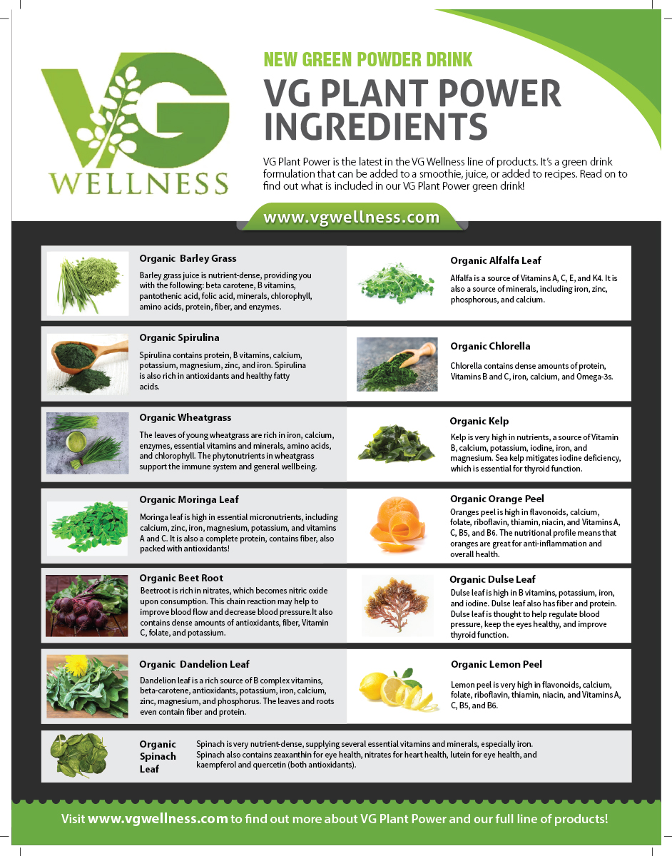 Flyer Design by meet007 for VG Wellness LLC | Design #23752823