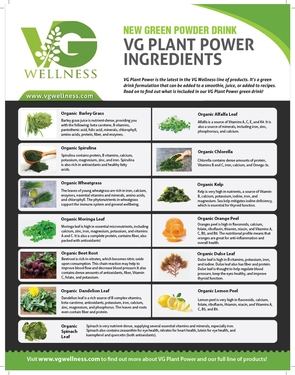 Flyer-Design von meet007 für VG Wellness LLC | Design #23752952
