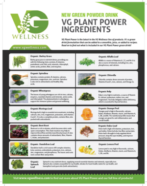Wellness company needs a flyer for our new green powder drink. | Diseño de Flyer por meet007