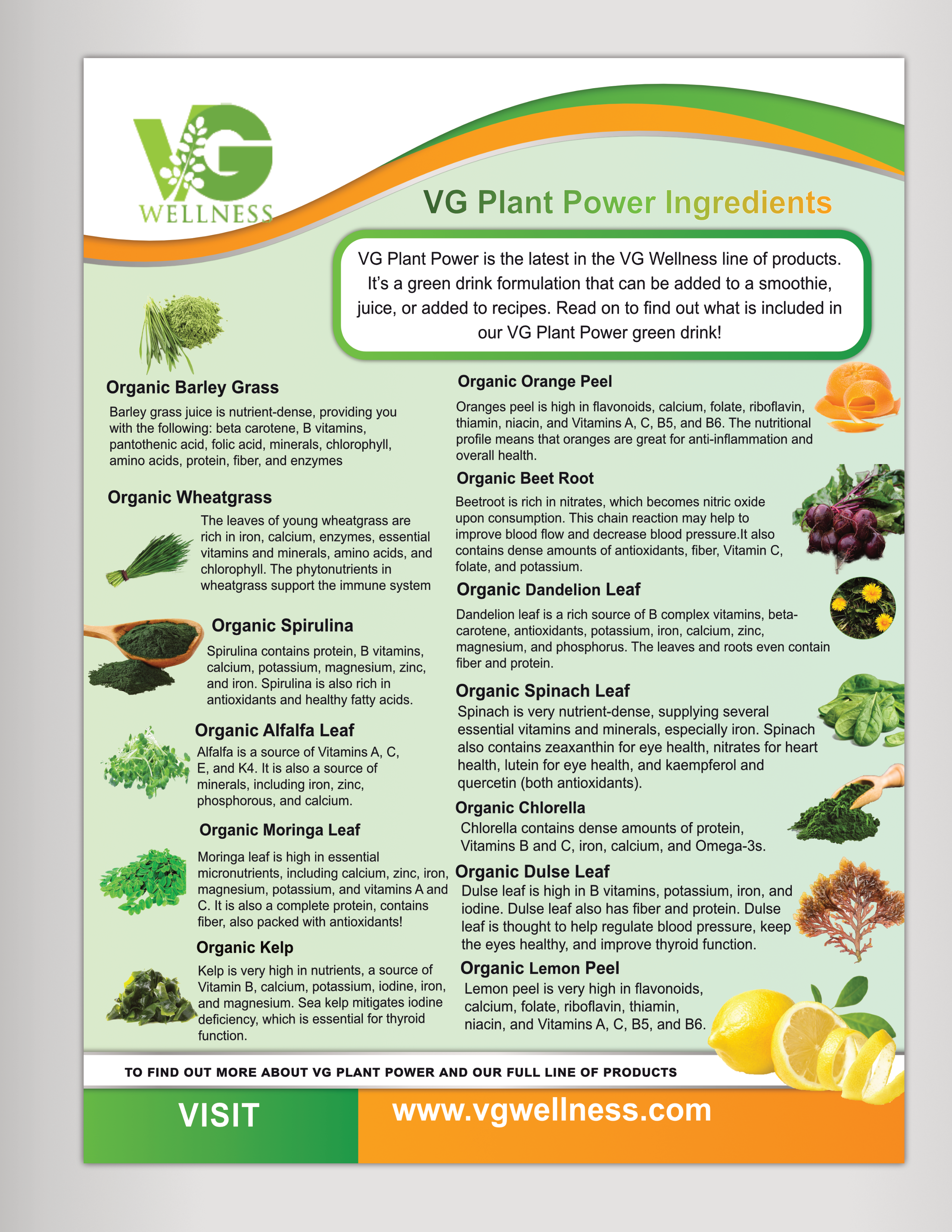 Flyer Design by Kreative Life for VG Wellness LLC | Design #23732752