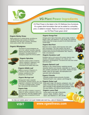 Flyer Design by Khanh Ly Le for VG Wellness LLC | Design #23732752