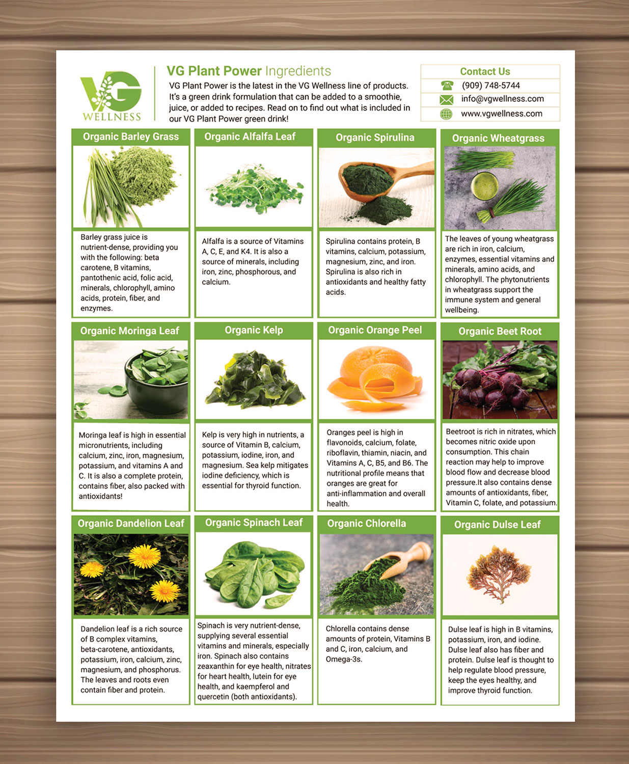 Design de Flyer par CreativeFeather pour VG Wellness LLC | Design #23783524