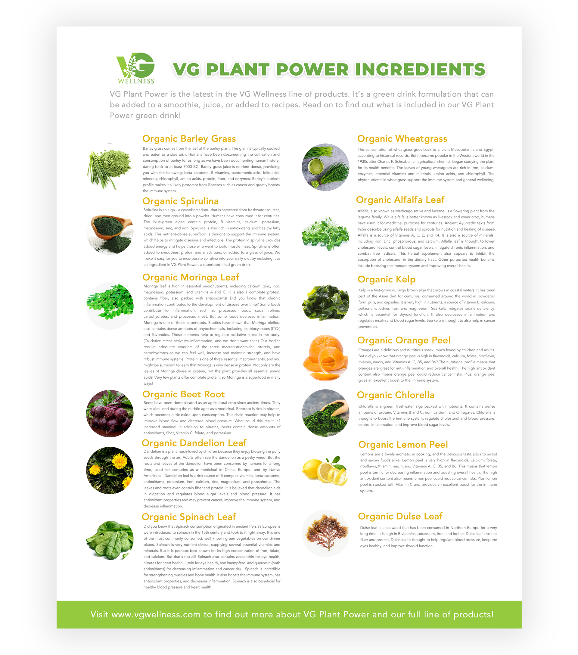 Design de Flyer par aberyor pour VG Wellness LLC | Design #23747684