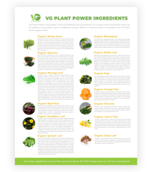 Flyer Design by aberyor for VG Wellness LLC | Design #23747684