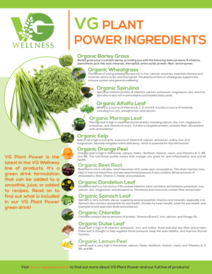 Design de Flyer par Quyen Ha pour VG Wellness LLC | Design : #23755517