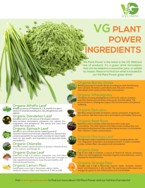 Design de Flyer par Quyen Ha pour VG Wellness LLC | Design : #23755720