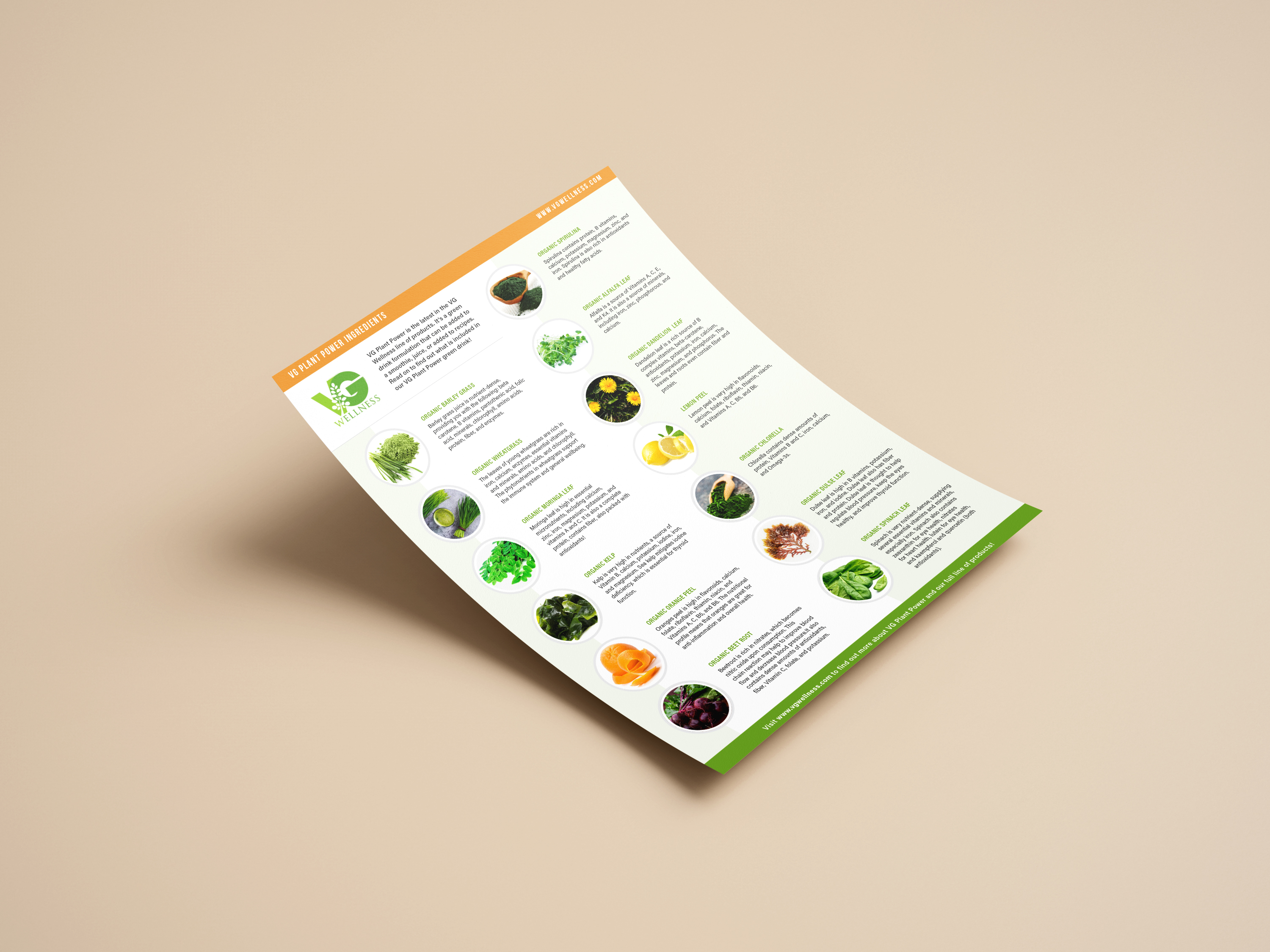 Flyer Design by Kristina R. for VG Wellness LLC | Design #23739514