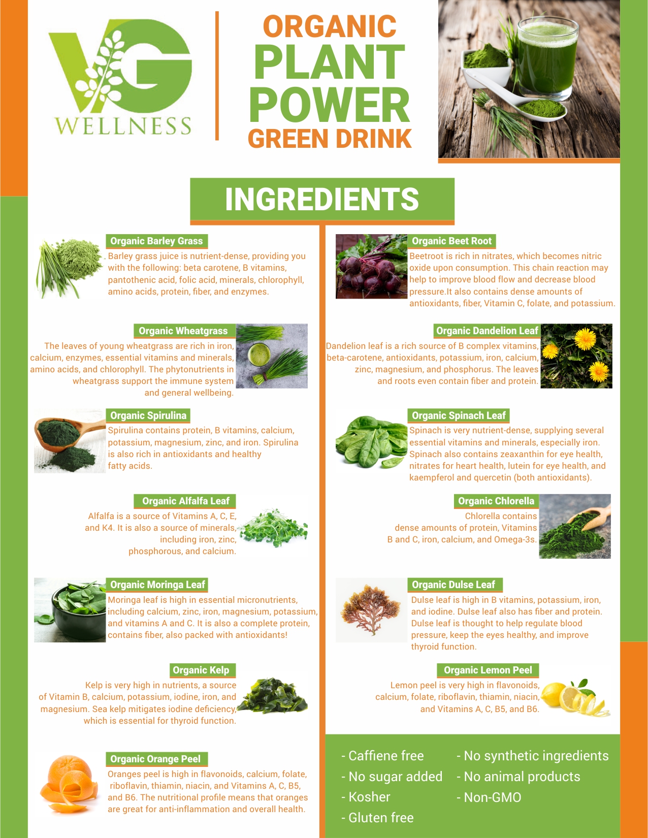 Flyer Design by Dharmesh88 for VG Wellness LLC | Design #23737934