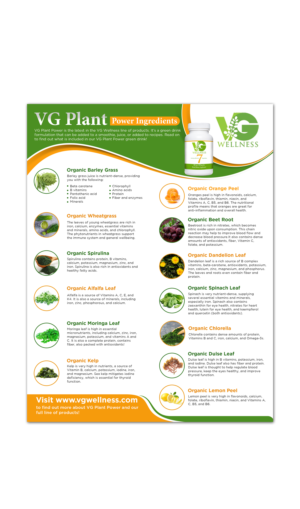 Flyer Design by ShreePalee