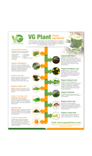 Design de Flyer par ShreePalee pour VG Wellness LLC | Design : #23783664