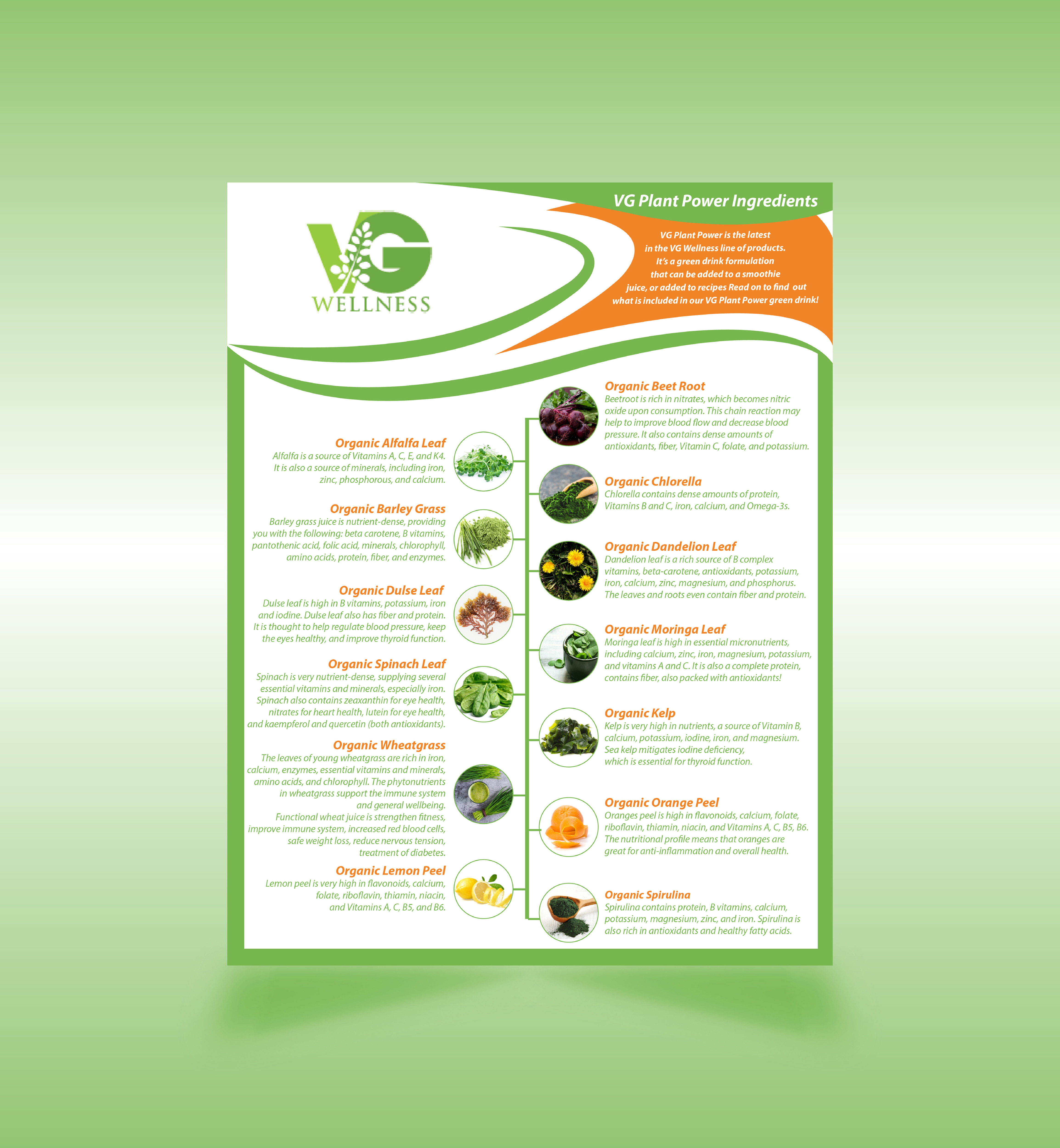 Flyer Design by Duy Loc 3 for VG Wellness LLC | Design #23758883