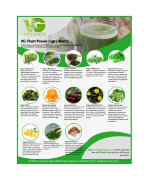 Flyer Design by AsifAhmed005