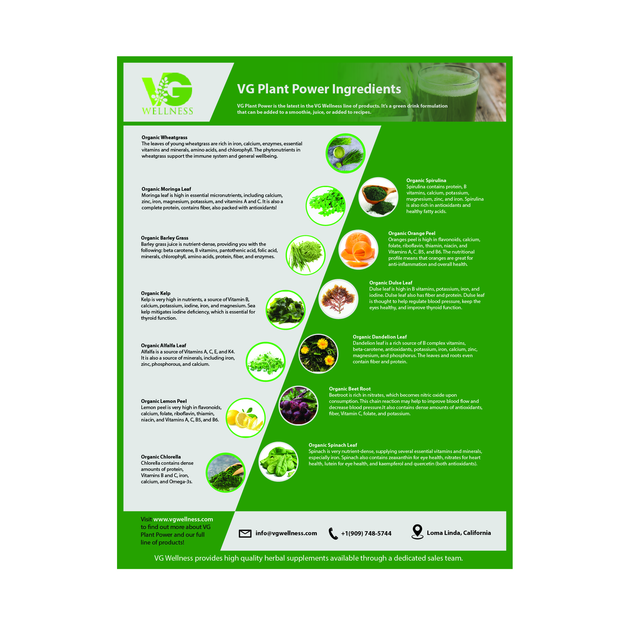 Flyer Design by AsifAhmed005 for VG Wellness LLC | Design #23746880