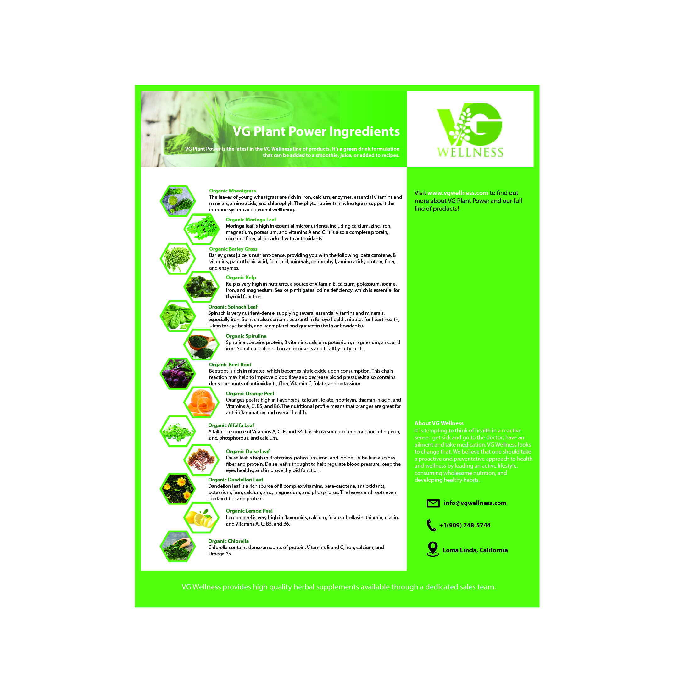 Flyer Design by AsifAhmed005 for VG Wellness LLC | Design #23757862