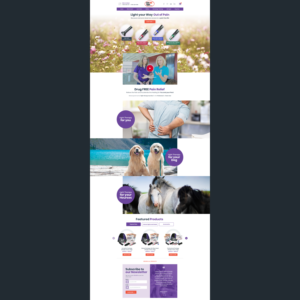 Web Design by MN20 for Amy Boyack | Design: #23794907