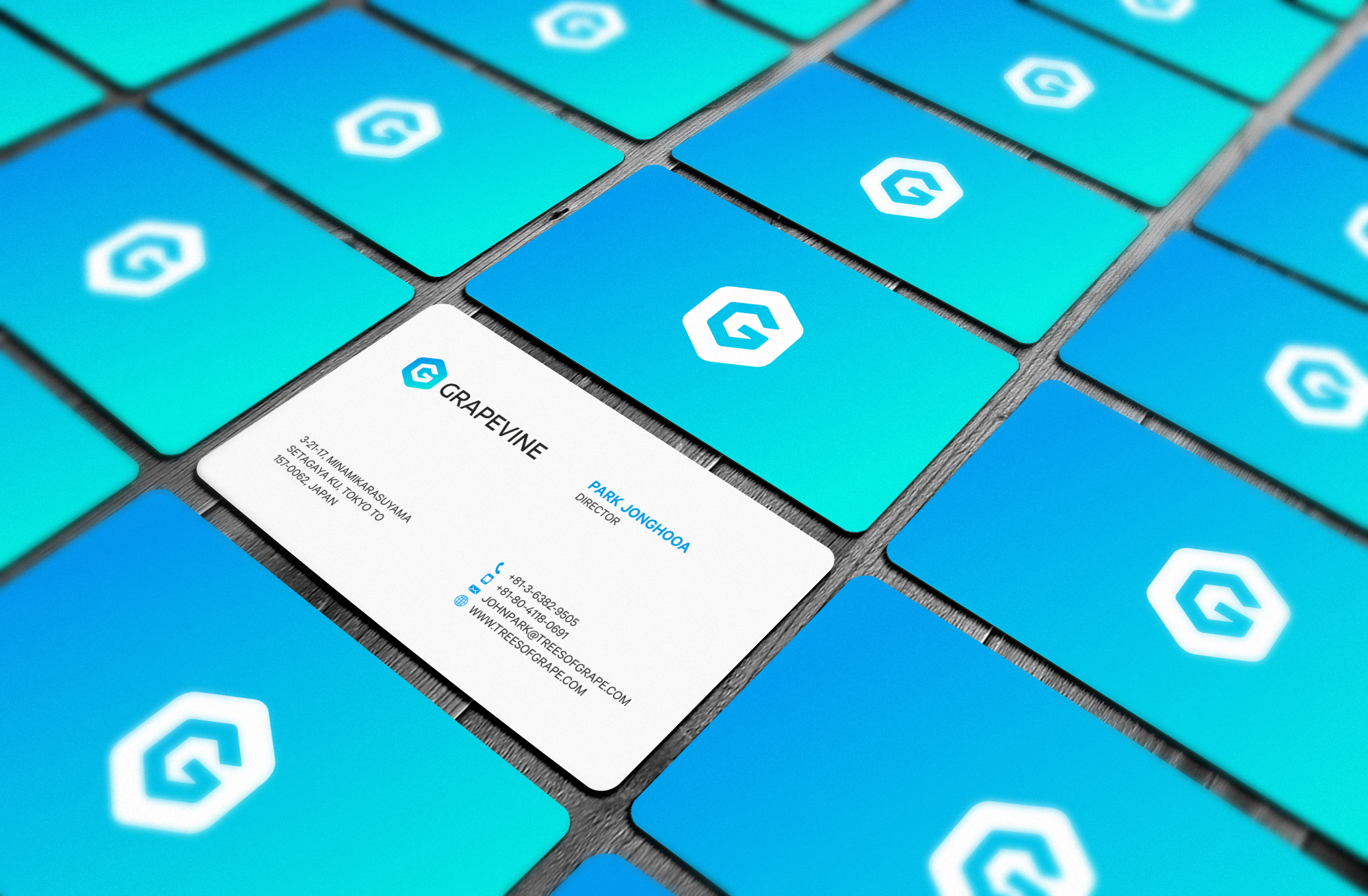 Visitenkarten-Design von logodentity für ???? ????? | Design #23743236