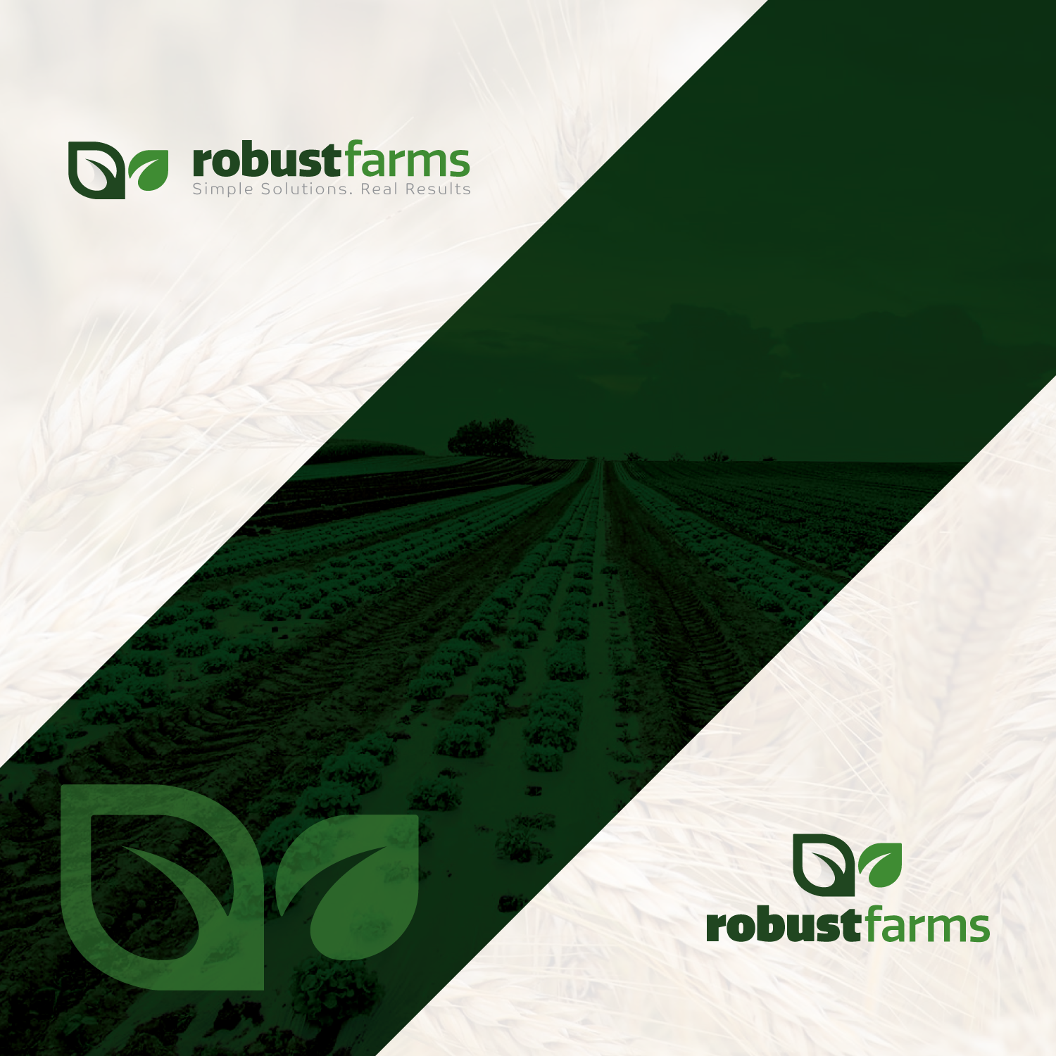 Logo Design by Mosa Abo swelem for this project | Design #23809157