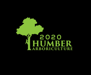 Logo Design by renderman