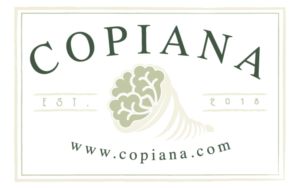 Logo Design by The Nth Element