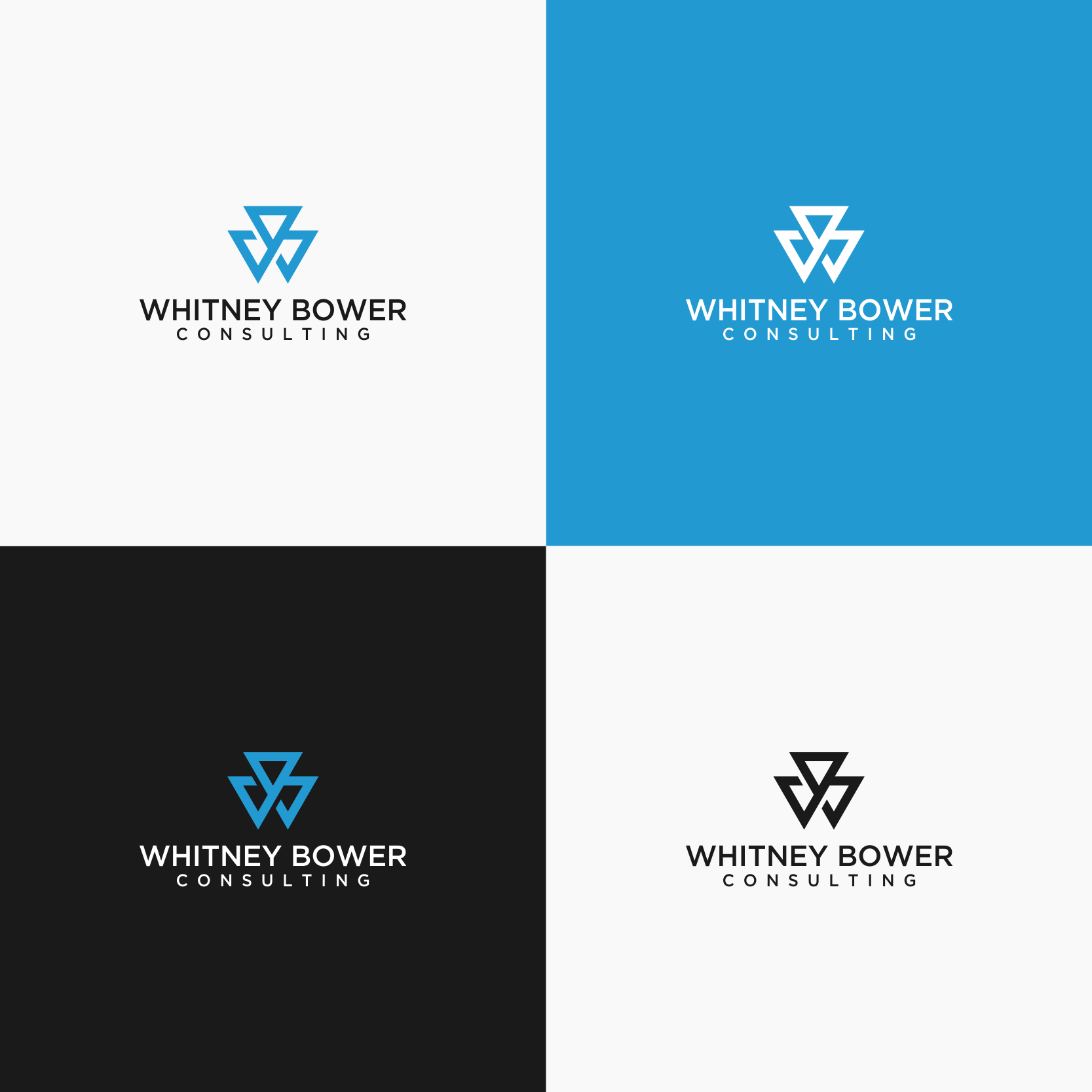Diseño de Logo por LeaAus para este proyecto | Diseño #23768679