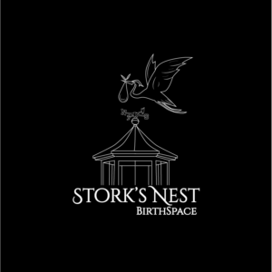 Logo Design by ravznoot.digital