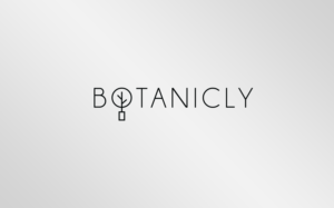 Logo Design by MT