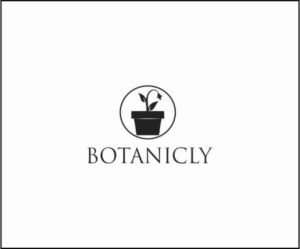 Logo Design by Mihaela for this project | Design: #23774080