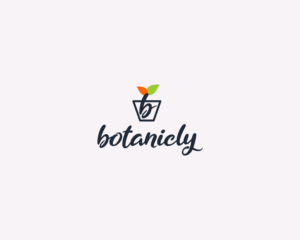 Logo Design by tokyodriftshop for this project | Design #23772294