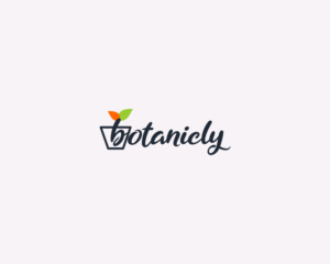 Logo Design by tokyodriftshop for this project | Design: #23772298