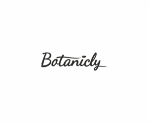 Logo Design by Logocraft for this project | Design: #23773019