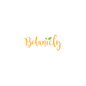 Logo Design by Gareng for this project | Design: #23770813