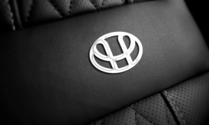 Logo Design by NSP Design