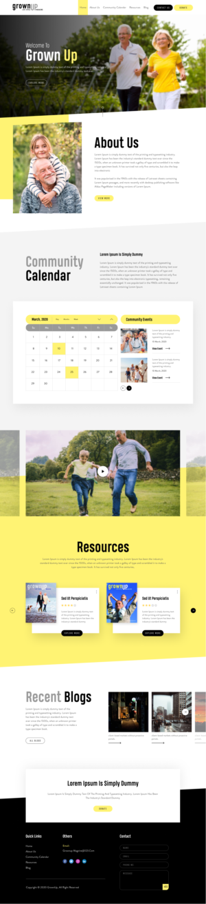 Web Design by Hassaan Shah for this project | Design #23827994