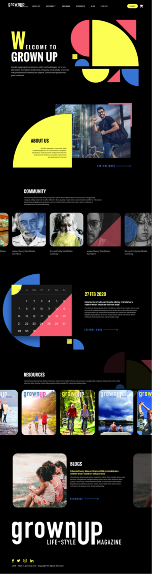 Web Design by Hassaan Shah for this project | Design: #23827996